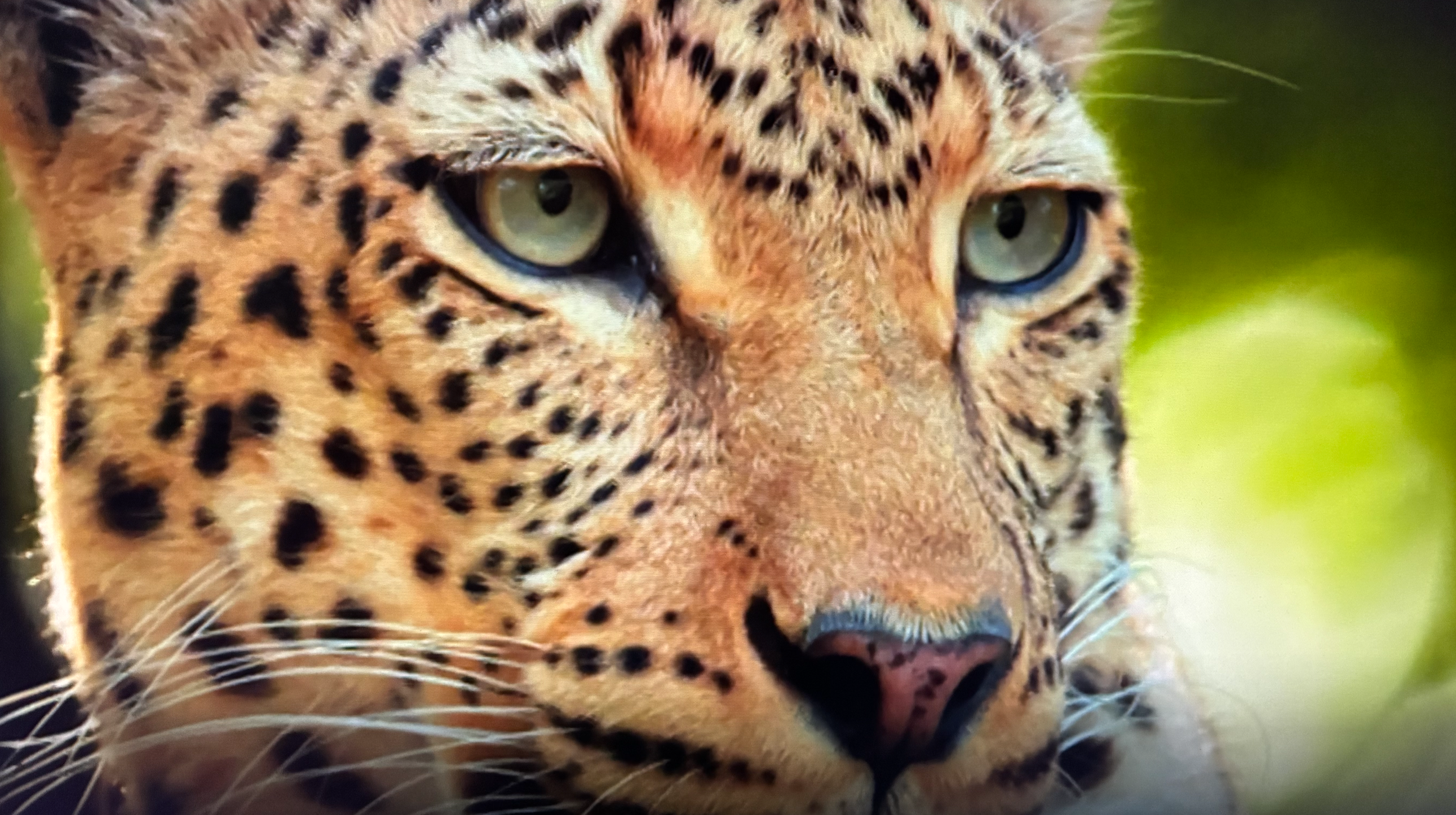 Capture%20d’écran%202026 02 27%20à%2017.41.34